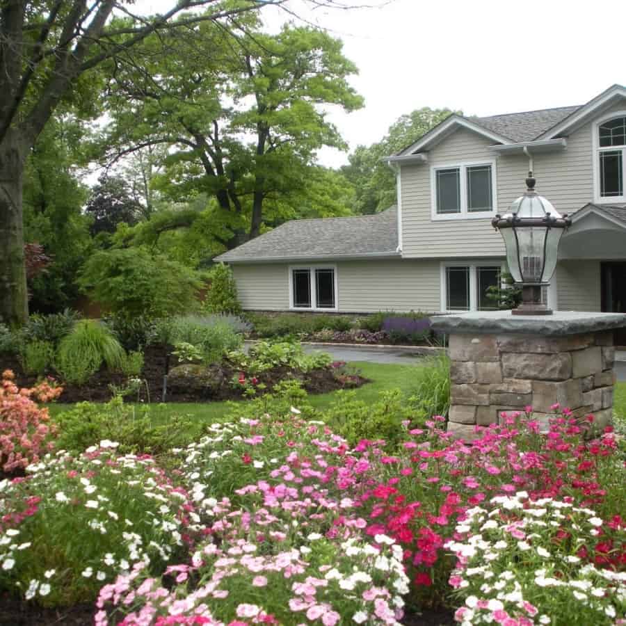 Landscape Plantings - Foreground - Verbena and Azalea - Background - Japanese Maple and mixed perennials - Dix Hills, Long Island NY